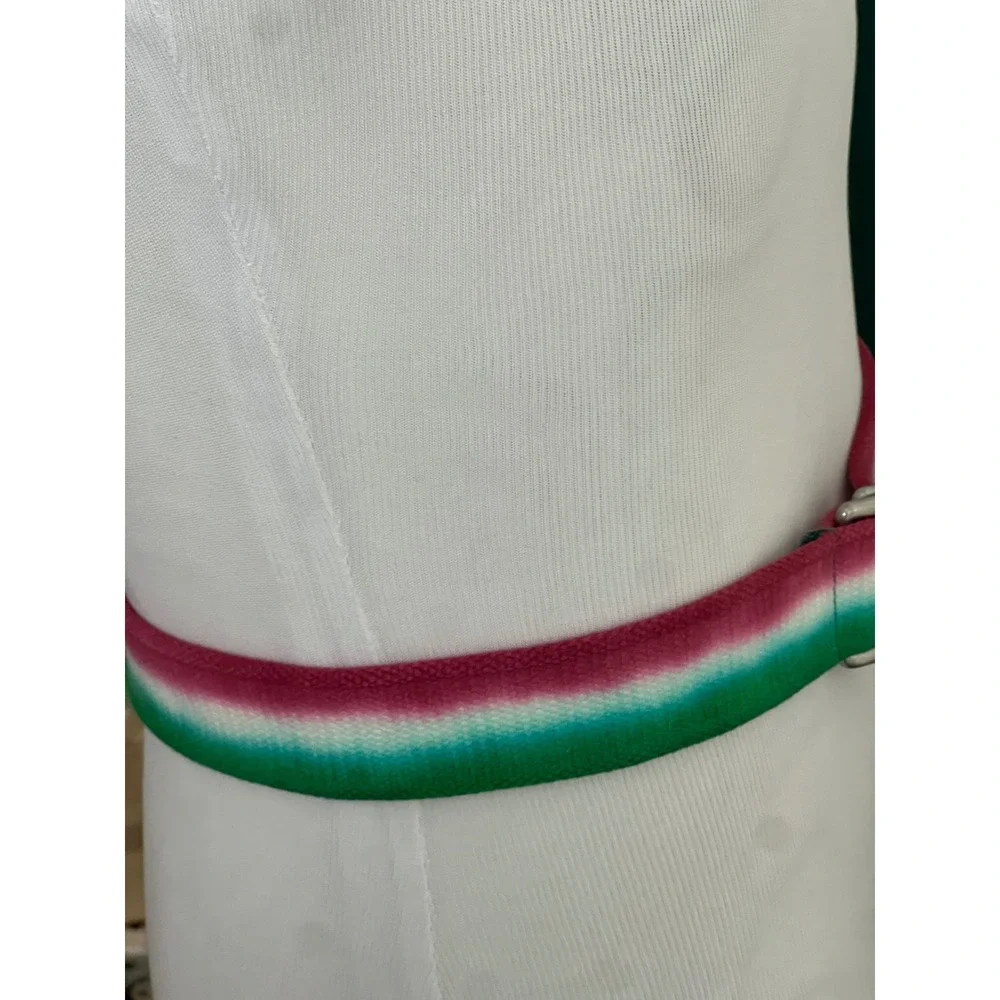 Polo Ralph Lauren D-Ring Belt Mens OS Green Pink Ombre Striped Preppy Canvas A61